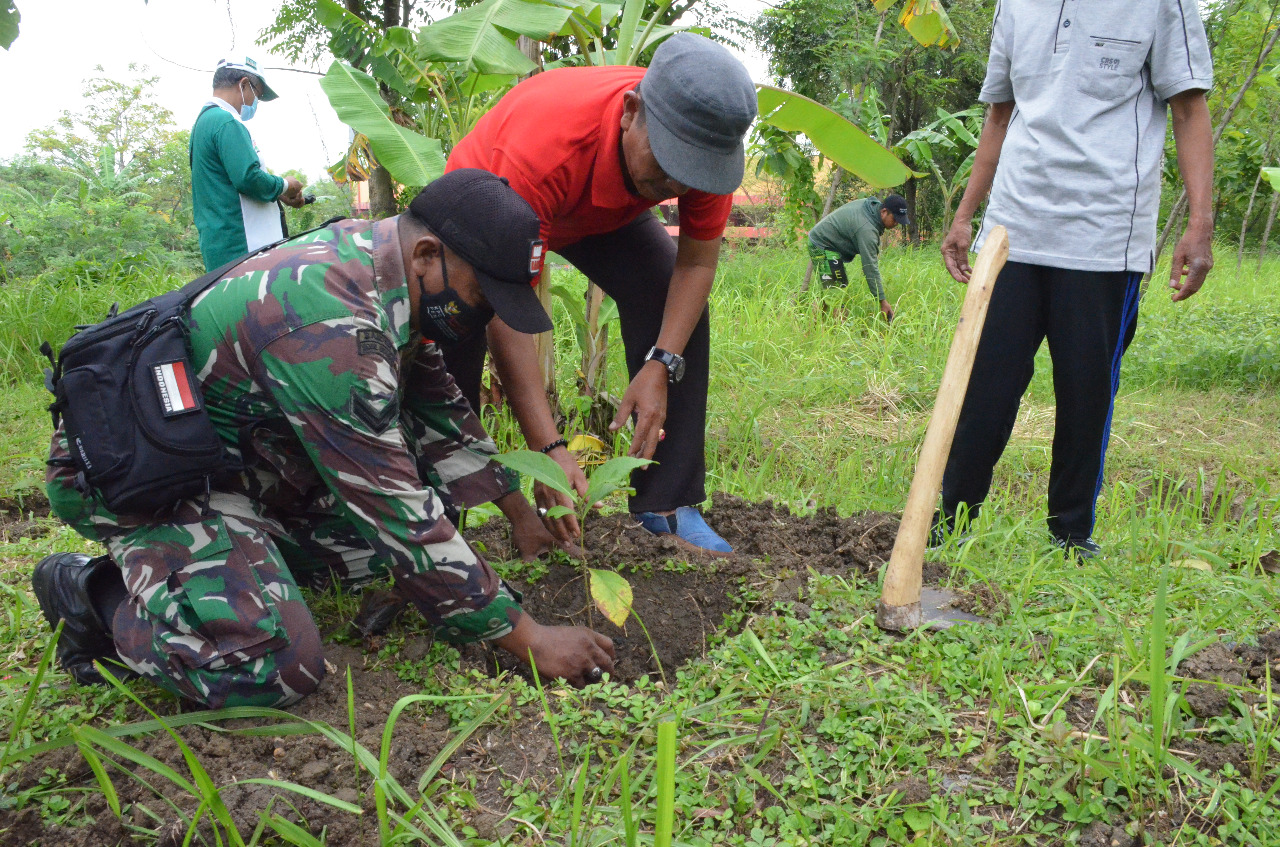TUMBUHKAN RASA PEDULI LINGKUNGAN, DPD LDII PAMEKASAN LAKUKAN GERAKAN MENANAM POHON