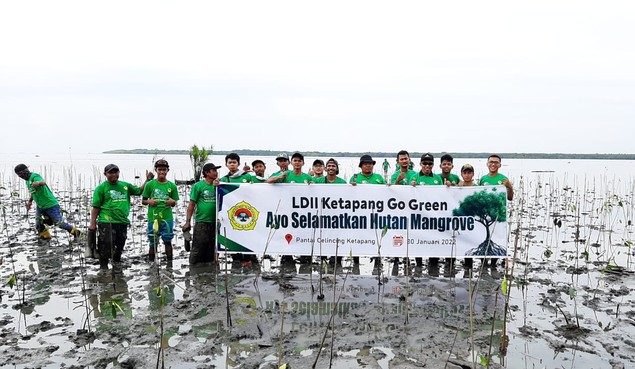LDII Ketapang Bersama Puluhan Organisasi Tanam Ribuan Mangrove